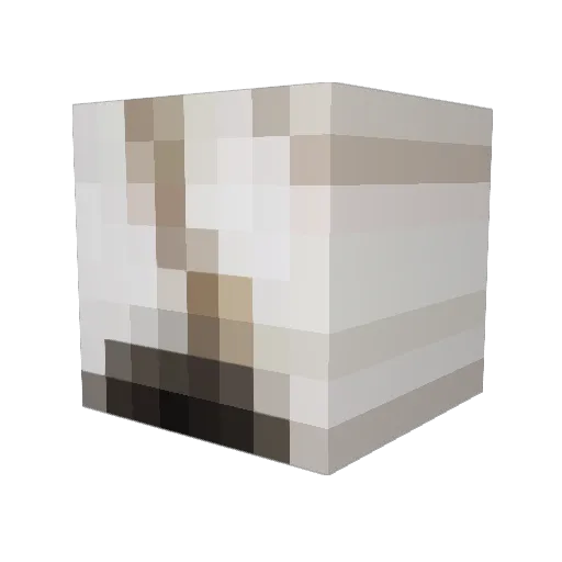 TheJ2509 Minecraft avatar head, 3D render