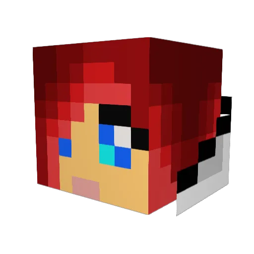 TheJaeSauce Minecraft avatar head, 3D render