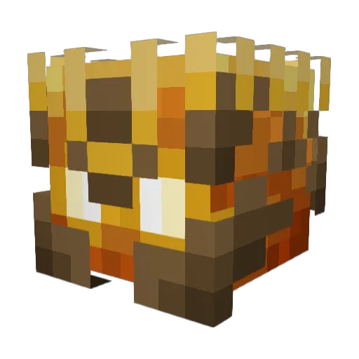 TheJayZilla1 Minecraft avatar head, 3D render