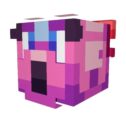 TheJediBugs Minecraft avatar head, 3D render