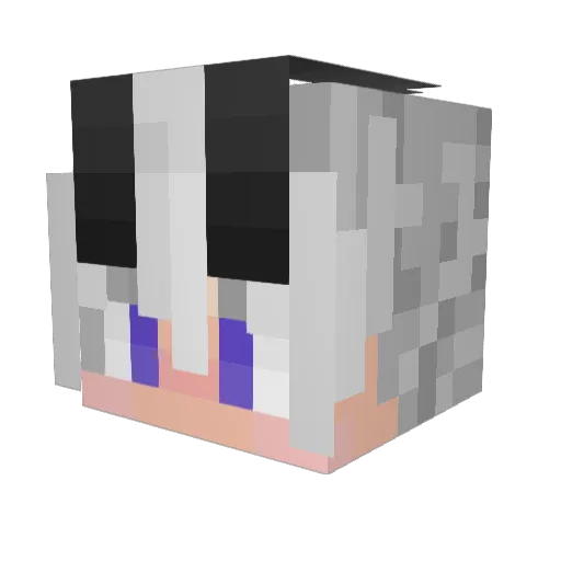 TheJester189 Minecraft avatar head, 3D render