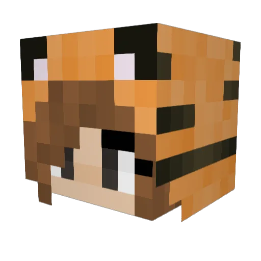 TheJew24 Minecraft avatar head, 3D render