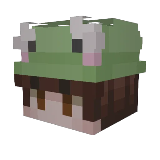 TheJie220 Minecraft avatar head, 3D render