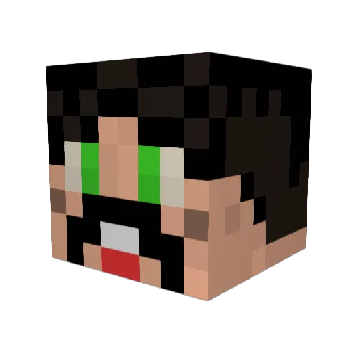 TheJoing2004 Minecraft avatar head, 3D render