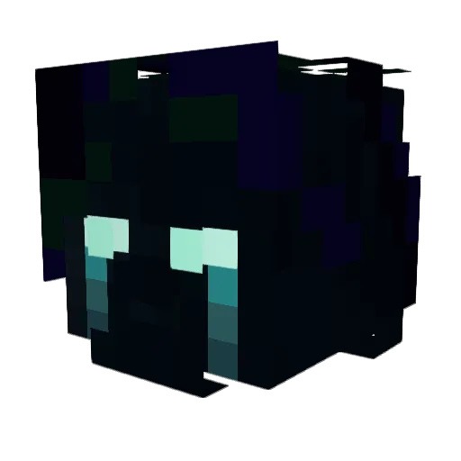 TheJok4r4 Minecraft avatar head, 3D render