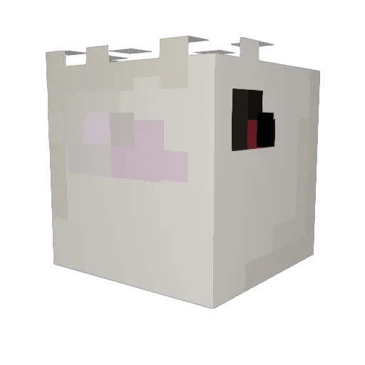 TheJollyQuacker Minecraft avatar head, 3D render