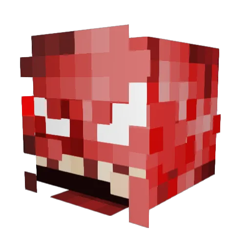 TheJonald Minecraft avatar head, 3D render