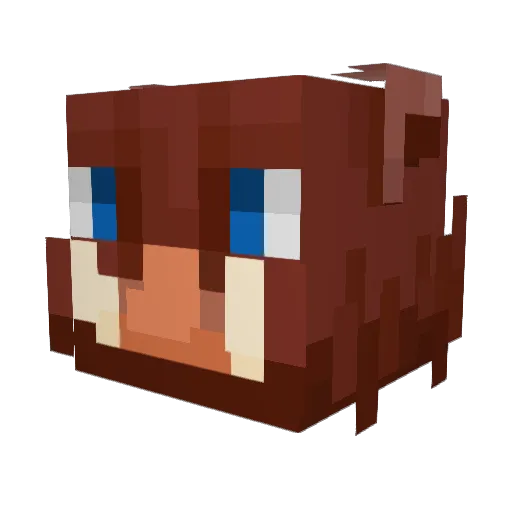 TheJooze Minecraft avatar head, 3D render
