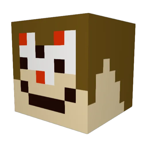 TheJudge04 Minecraft avatar head, 3D render