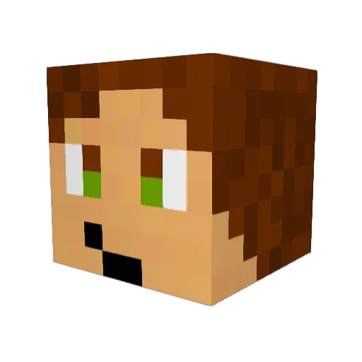 TheJulienM Minecraft avatar head, 3D render