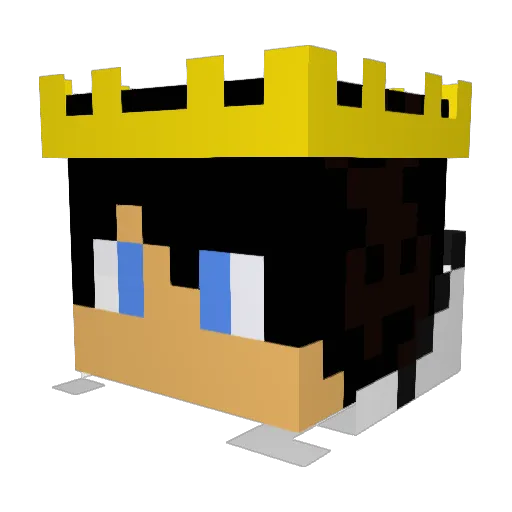 TheKING_1337 Minecraft avatar head, 3D render