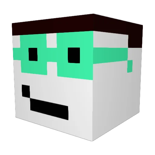 TheKart017 Minecraft avatar head, 3D render