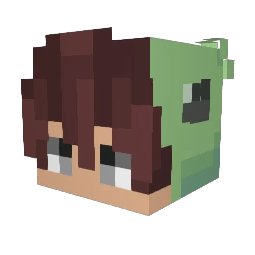 TheKawaiiTurtle Minecraft avatar head, 3D render