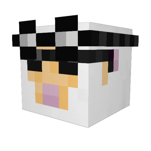 TheKid47 Minecraft avatar head, 3D render