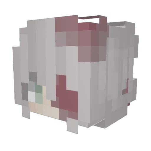 TheKidThatCould Minecraft avatar head, 3D render