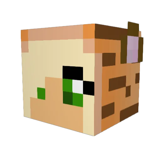 TheKidi99 Minecraft avatar head, 3D render