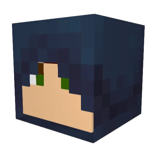 TheKiller41 Minecraft avatar head, 3D render