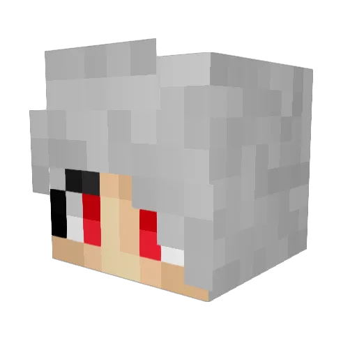 TheKillerDragon8 Minecraft avatar head, 3D render