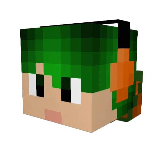 TheKillerKarrot Minecraft avatar head, 3D render