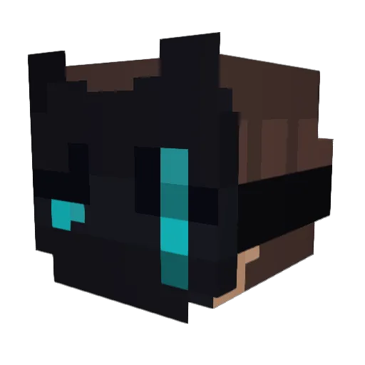 TheKillerPanther Minecraft avatar head, 3D render