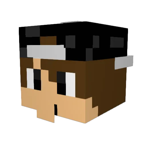 TheKillerWolf17 Minecraft avatar head, 3D render