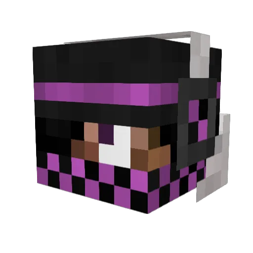 TheKing1202 Minecraft avatar head, 3D render