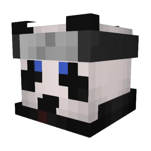 TheKingBaca22 Minecraft avatar head, 3D render