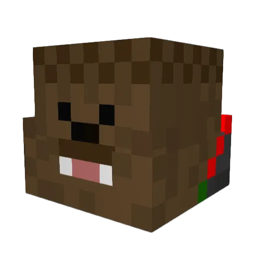 TheKingBacca420 Minecraft avatar head, 3D render