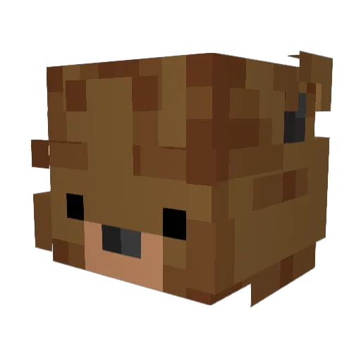 TheKingGrizz Minecraft avatar head, 3D render