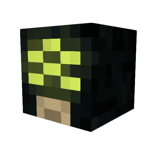 TheKingOfAFK Minecraft avatar head, 3D render