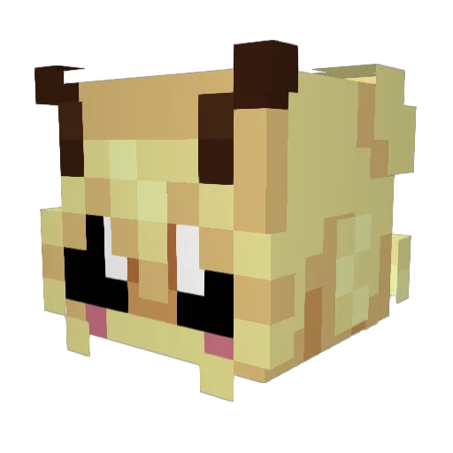 TheKirbyGod Minecraft avatar head, 3D render