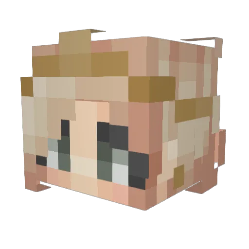 TheKittyLord1 Minecraft avatar head, 3D render
