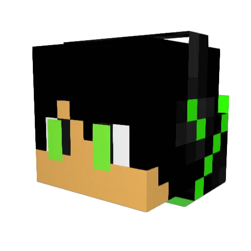 TheKnightHawk98 Minecraft avatar head, 3D render