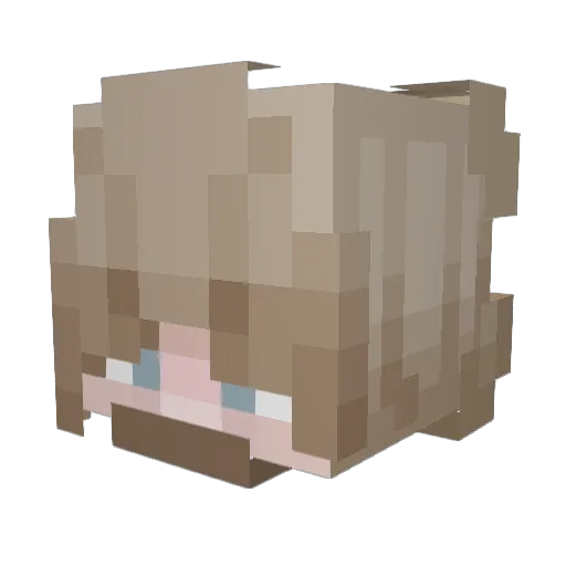 TheKosari Minecraft avatar head, 3D render