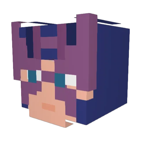 TheLAW27 Minecraft avatar head, 3D render