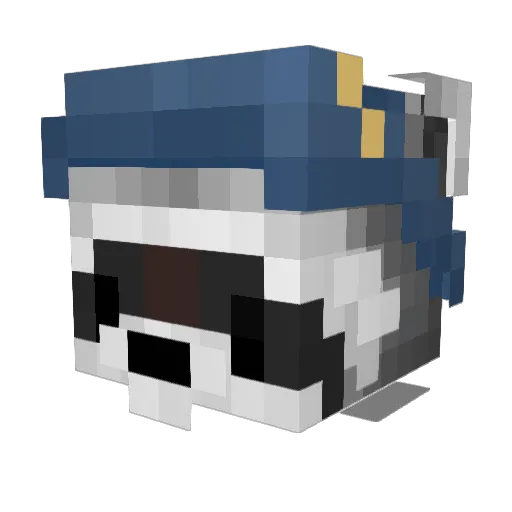 TheLargeRaccooon Minecraft avatar head, 3D render
