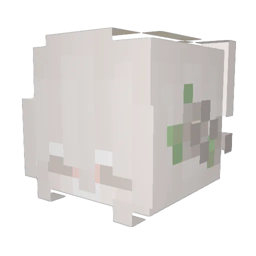 TheLastBorn Minecraft avatar head, 3D render