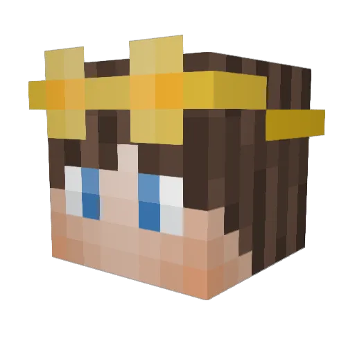 TheLastKoalaKing Minecraft avatar head, 3D render