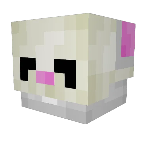 TheLastMoleMan Minecraft avatar head, 3D render