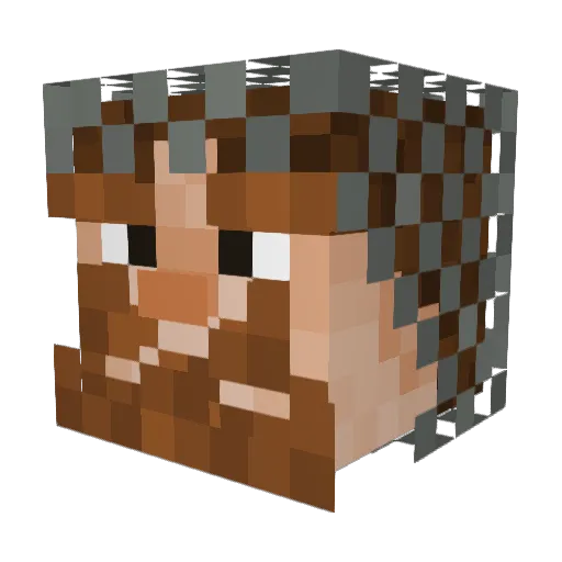 TheLastPaladin5 Minecraft avatar head, 3D render