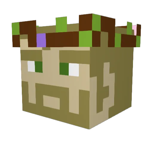 TheLateWizard Minecraft avatar head, 3D render