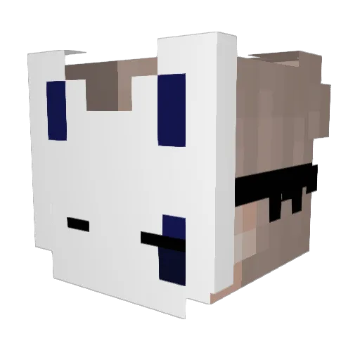 TheLaw489 Minecraft avatar head, 3D render