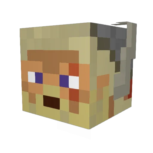 TheLawnGuru Minecraft avatar head, 3D render