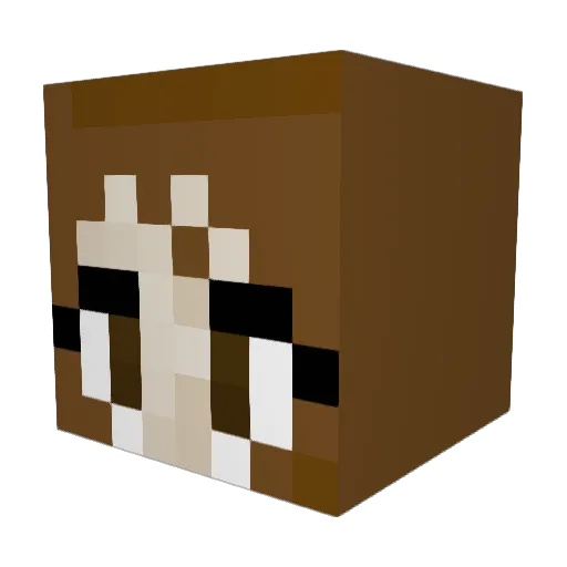 TheLeelaVerse Minecraft avatar head, 3D render