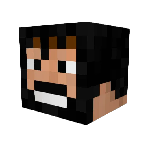 TheLegendOfNoob Minecraft avatar head, 3D render