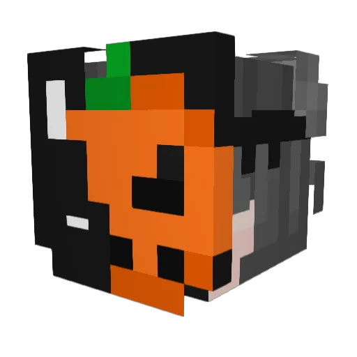 TheLeonMax Minecraft avatar head, 3D render