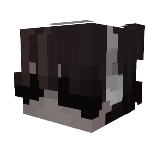 TheLiangpi Minecraft avatar head, 3D render