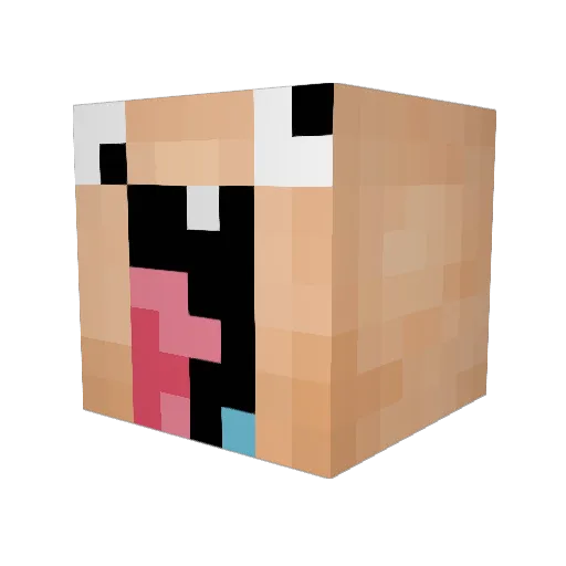 TheLifeBaller Minecraft avatar head, 3D render