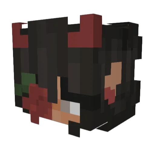 TheLilFroggy Minecraft avatar head, 3D render