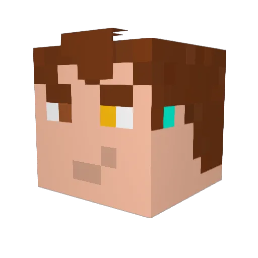 TheLilJank Minecraft avatar head, 3D render